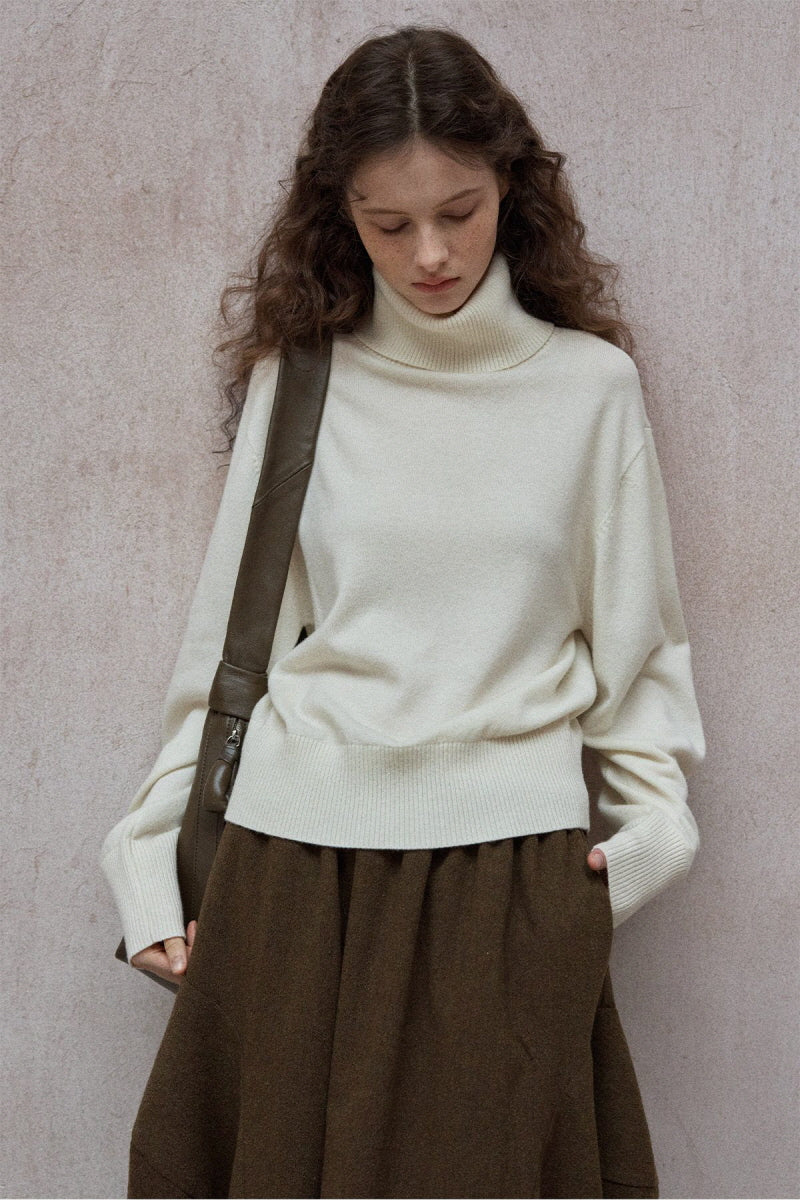 Turtleneck Knitted Pullover Top