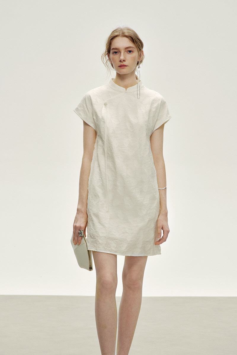 Asymmetric Button Stand Collar Mini Dress
