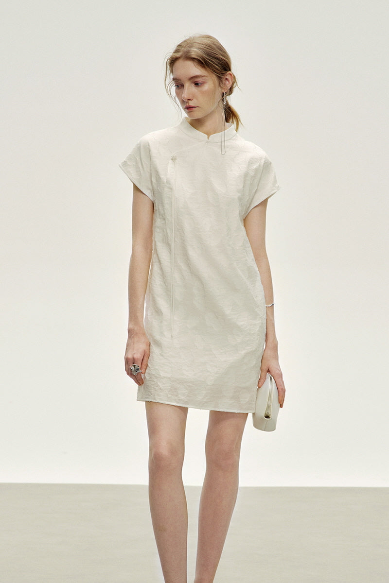 Asymmetric Button Stand Collar Mini Dress