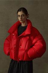 Stand-Up Collar Puff Silhouette Down Jacket