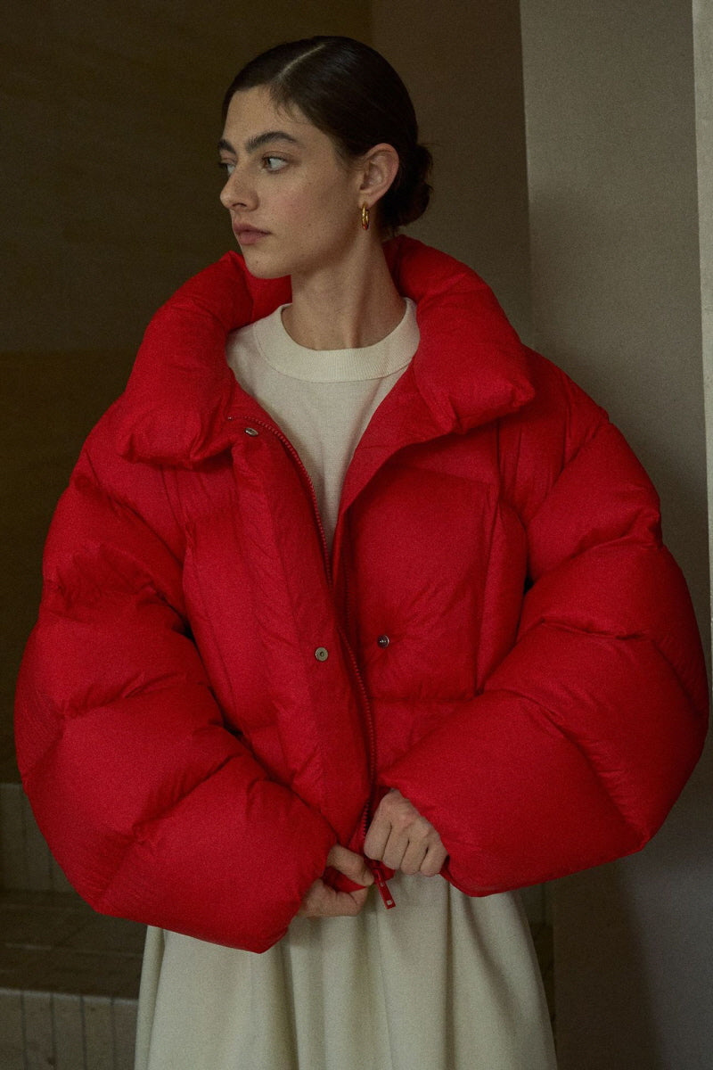 Stand-Up Collar Puff Silhouette Down Jacket
