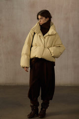 Stand-Up Collar Down Jacket