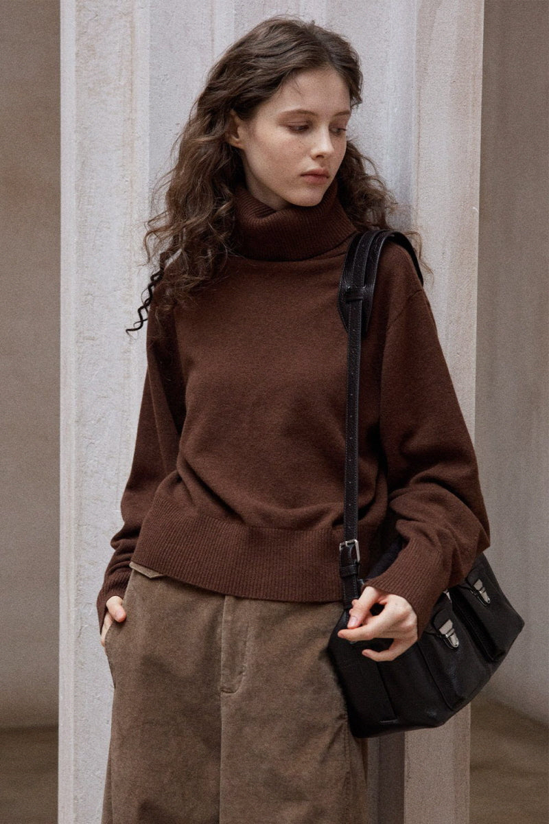 Turtleneck Knitted Pullover Top