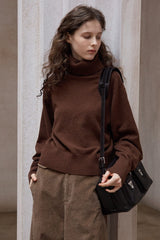 Turtleneck Knitted Pullover Top