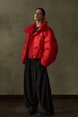 Stand-Up Collar Puff Silhouette Down Jacket