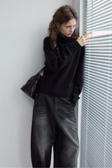 Turtleneck Knitted Pullover Top